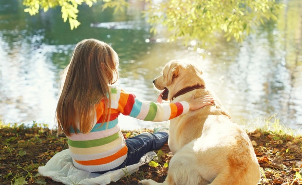Thumbnail for - Mars Petcare: домашние животные благотворно влияют на развитие детей